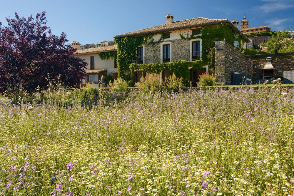 Casa Sarasa Pension Berdun Buitenkant foto